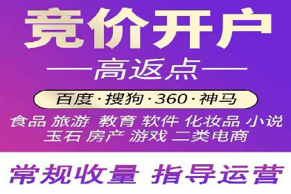 案例研究：百度推广托管助力电商品牌快速崛起